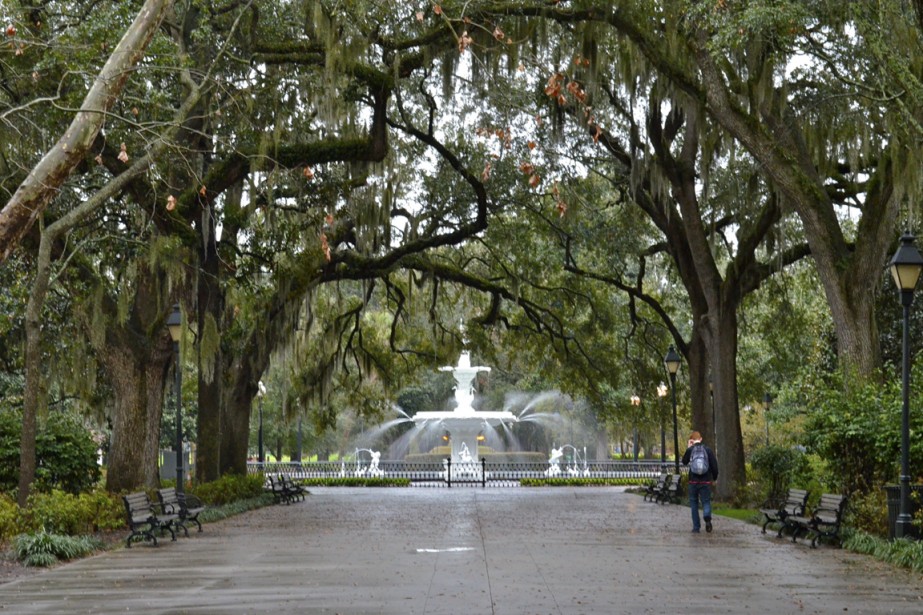 Parc Savannah