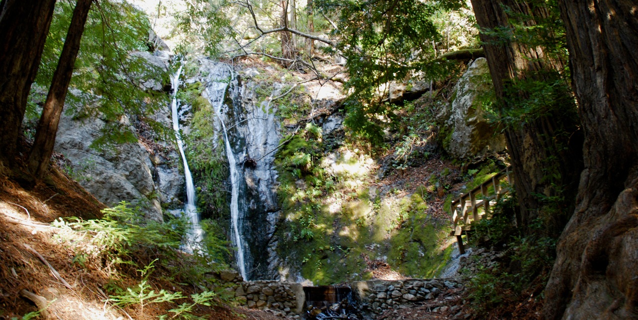 Pfeiffer Big Sur State Park SP