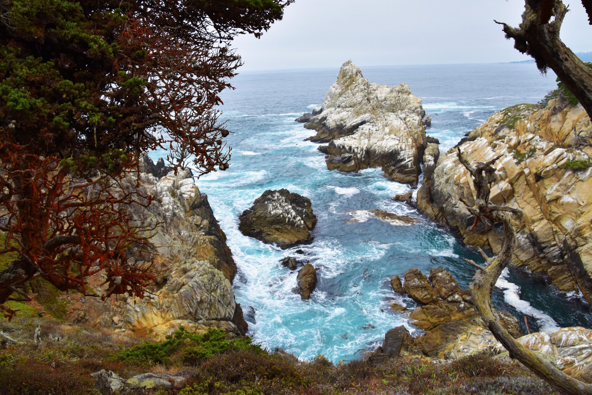 Point lobos