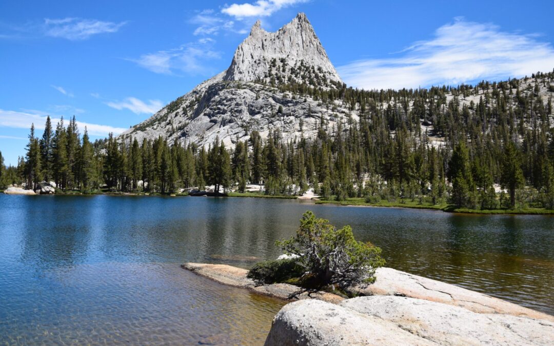 Tout ce qu’il faut savoir pour visiter le Yosemite National Park