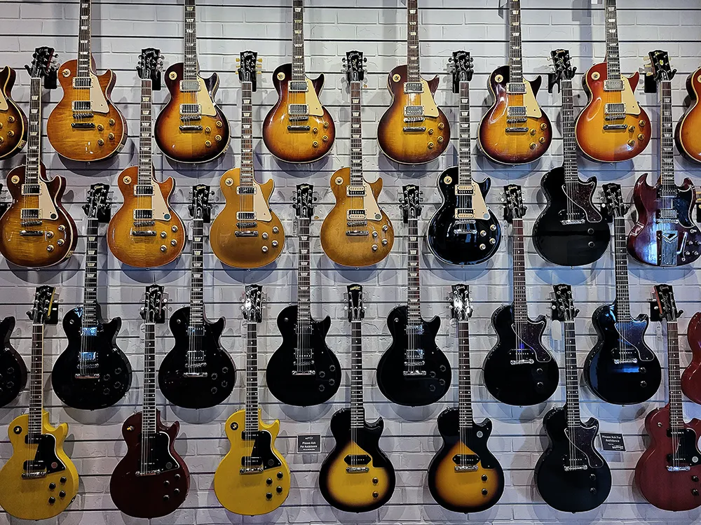 collection de guitare walt grace vintage